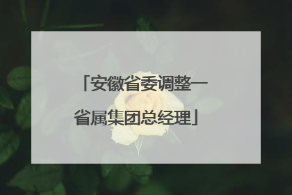 安徽省委调整一省属集团总经理