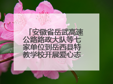安徽省岳武高速公路路政大队等七家单位到岳西县特教学校开展爱心志愿活动