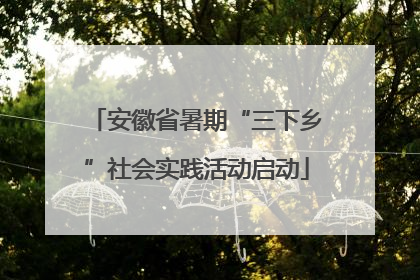 安徽省暑期“三下乡”社会实践活动启动