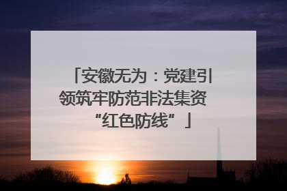 安徽无为：党建引领筑牢防范非法集资“红色防线”