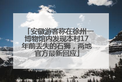 安徽游客称在徐州一博物馆内发现本村17年前丢失的石狮，两地官方最新回应