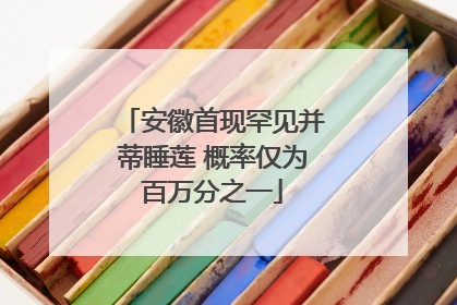 安徽首现罕见并蒂睡莲 概率仅为百万分之一