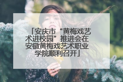 安庆市“黄梅戏艺术进校园”推进会在安徽黄梅戏艺术职业学院顺利召开