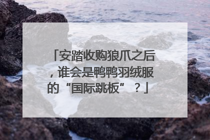 安踏收购狼爪之后，谁会是鸭鸭羽绒服的“国际跳板”？