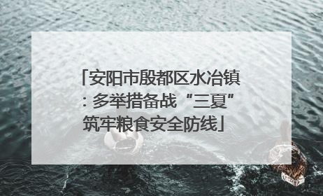 安阳市殷都区水冶镇：多举措备战“三夏” 筑牢粮食安全防线