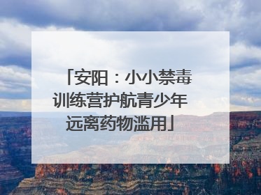 安阳：小小禁毒训练营护航青少年远离药物滥用