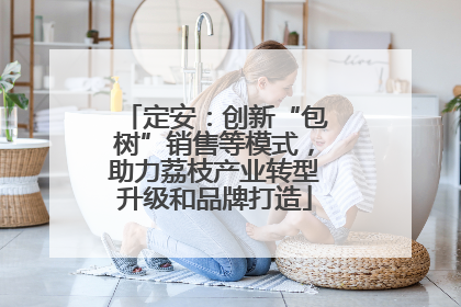 定安：创新“包树”销售等模式，助力荔枝产业转型升级和品牌打造