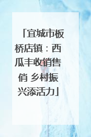 宜城市板桥店镇：西瓜丰收销售俏 乡村振兴添活力