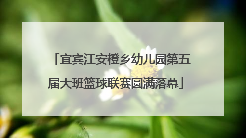 宜宾江安橙乡幼儿园第五届大班篮球联赛圆满落幕