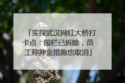 实探武汉网红大桥打卡点：围栏已拆除，员工称押金措施也取消