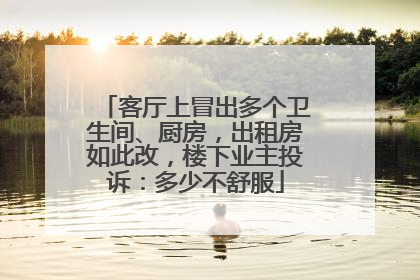 客厅上冒出多个卫生间、厨房，出租房如此改，楼下业主投诉：多少不舒服