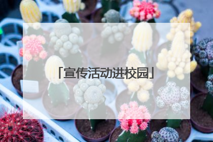 宣传活动进校园