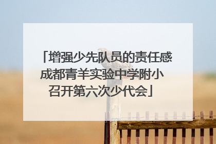 增强少先队员的责任感 成都青羊实验中学附小召开第六次少代会