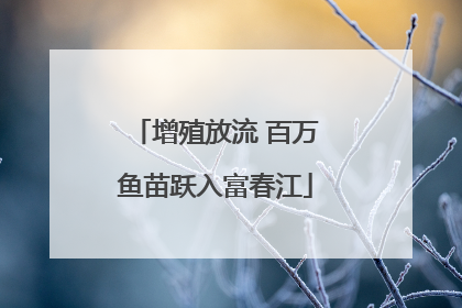增殖放流 百万鱼苗跃入富春江
