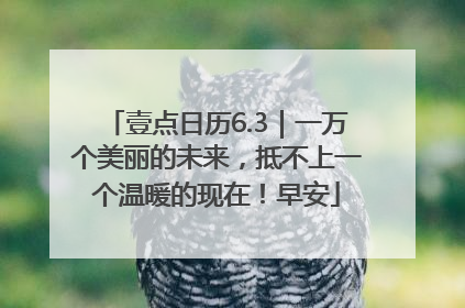 壹点日历6.3｜一万个美丽的未来，抵不上一个温暖的现在！早安