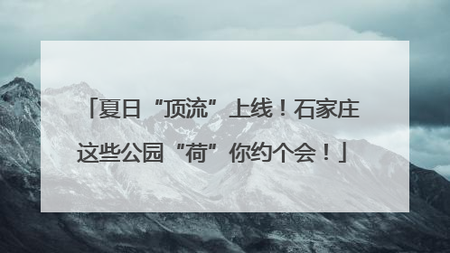 夏日“顶流”上线！石家庄这些公园“荷”你约个会！