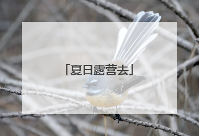 夏日露营去