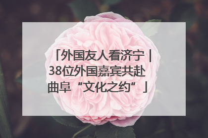 外国友人看济宁｜38位外国嘉宾共赴曲阜“文化之约”