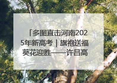 多图直击河南2025年新高考｜旗袍送福 葵花迎胜——许昌高考首日拉开帷幕
