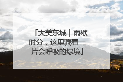 大美东城｜雨歇时分，这里藏着一片会呼吸的绿境
