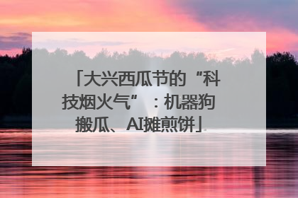 大兴西瓜节的“科技烟火气”：机器狗搬瓜、AI摊煎饼