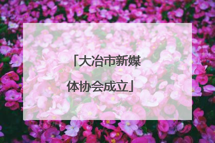 大冶市新媒体协会成立