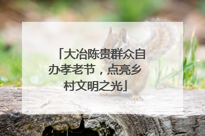 大冶陈贵群众自办孝老节，点亮乡村文明之光