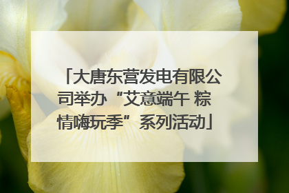 大唐东营发电有限公司举办“艾意端午 粽情嗨玩季”系列活动