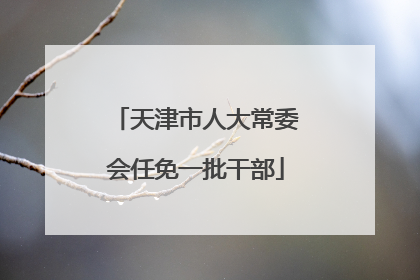天津市人大常委会任免一批干部