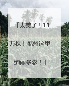 太美了！11万株！福州这里绚丽多彩！
