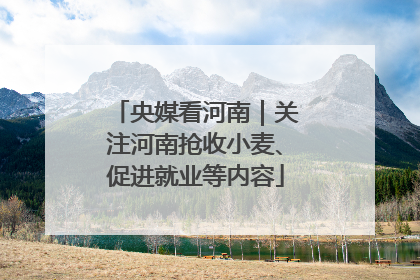 央媒看河南｜关注河南抢收小麦、促进就业等内容