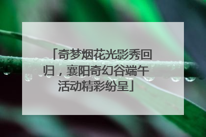 奇梦烟花光影秀回归，襄阳奇幻谷端午活动精彩纷呈