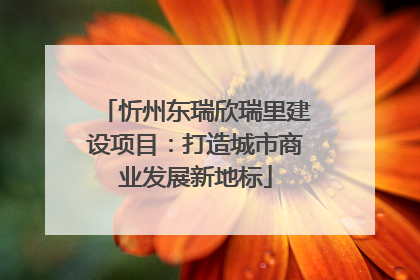 忻州东瑞欣瑞里建设项目：打造城市商业发展新地标