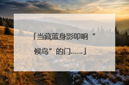 当藏蓝身影叩响“候鸟”的门……
