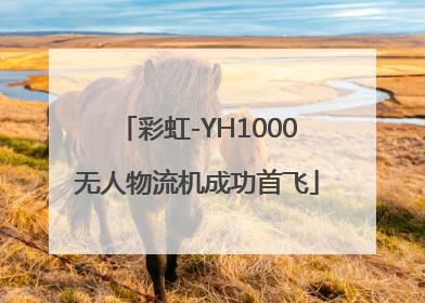 彩虹-YH1000无人物流机成功首飞