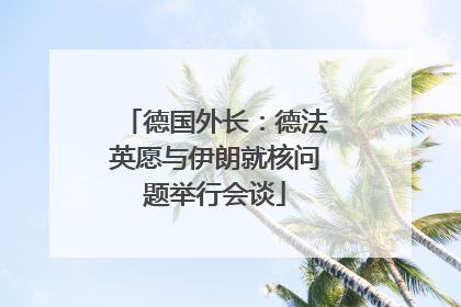 德国外长：德法英愿与伊朗就核问题举行会谈