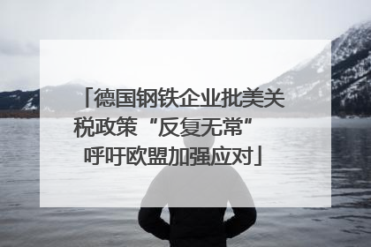 德国钢铁企业批美关税政策“反复无常” 呼吁欧盟加强应对