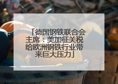 德国钢铁联合会主席：美加征关税给欧洲钢铁行业带来巨大压力