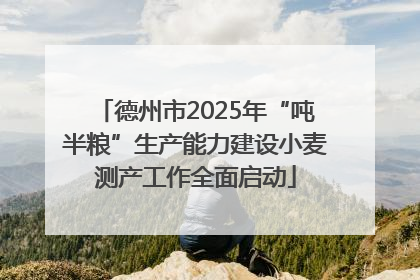 德州市2025年“吨半粮”生产能力建设小麦测产工作全面启动