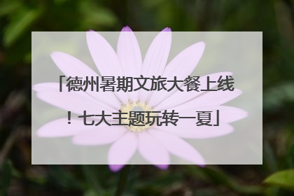 德州暑期文旅大餐上线！七大主题玩转一夏