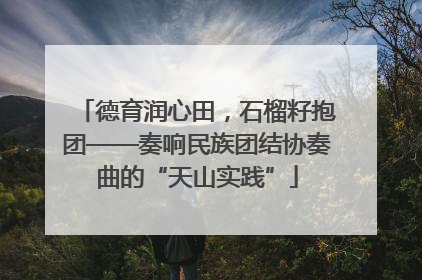 德育润心田，石榴籽抱团——奏响民族团结协奏曲的“天山实践”