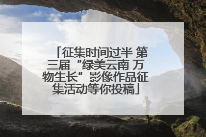 征集时间过半 第三届“绿美云南 万物生长”影像作品征集活动等你投稿