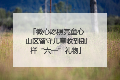 微心愿照亮童心 山区留守儿童收到别样“六一”礼物
