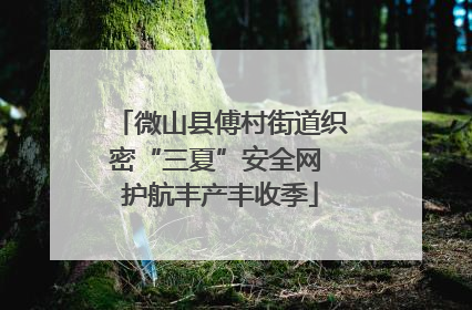 微山县傅村街道织密“三夏”安全网 护航丰产丰收季