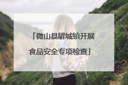 微山县驩城镇开展食品安全专项检查