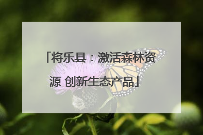 将乐县：激活森林资源 创新生态产品