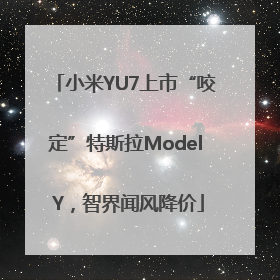 小米YU7上市“咬定”特斯拉Model Y，智界闻风降价