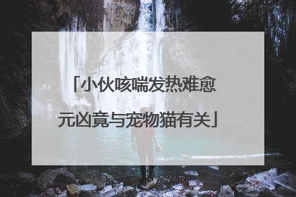 小伙咳喘发热难愈 元凶竟与宠物猫有关