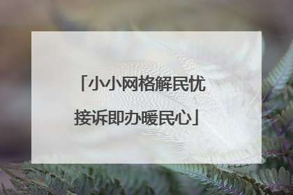 小小网格解民忧 接诉即办暖民心