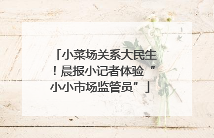小菜场关系大民生！晨报小记者体验“小小市场监管员”